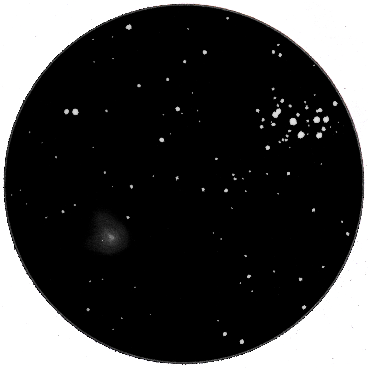 Comet C/2009 P1 Garradd